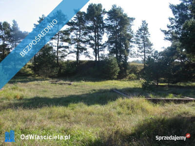 Mazury działki rekreacyjne z fundamentami - Martiany  -
warmińsko-mazurskie Zdjęcie nr 3