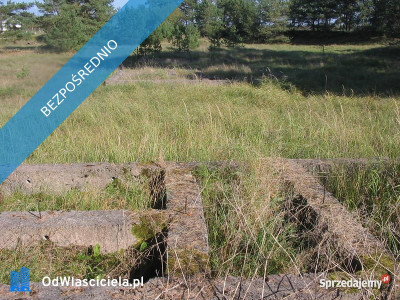 Mazury działki rekreacyjne z fundamentami - Martiany  -
warmińsko-mazurskie Zdjęcie nr 5