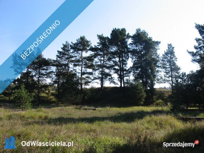 Mazury działki rekreacyjne z fundamentami - Martiany  -
warmińsko-mazurskie Zdjęcie nr 6