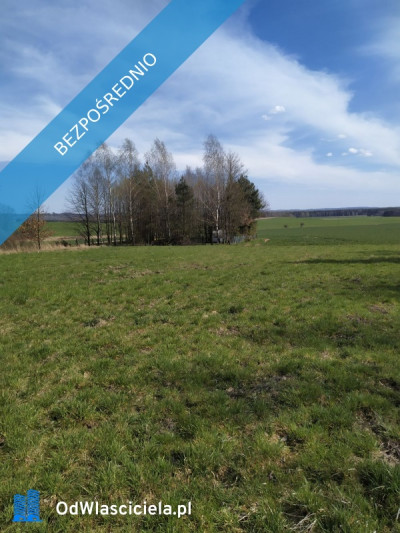 Działka budowlana 3942 m Myszków spokojna okolica - Mrzygłódka  - śląskie