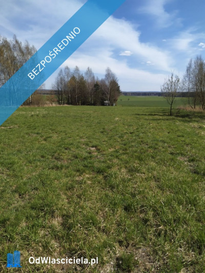 Działka budowlana 3942 m Myszków spokojna okolica - Mrzygłódka  -
śląskie Zdjęcie nr 3