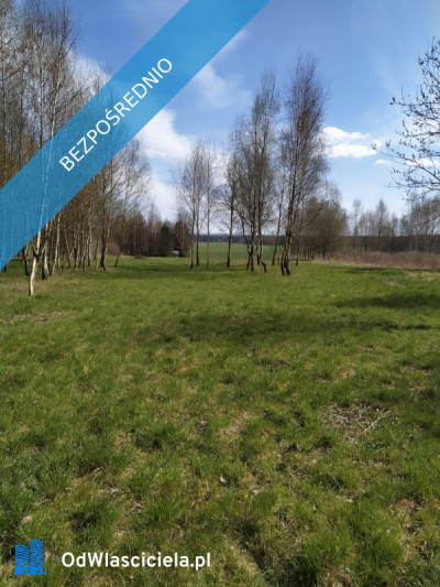Działka budowlana 3942 m Myszków spokojna okolica - Mrzygłódka  -
śląskie Zdjęcie nr 6