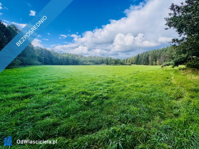 Wyjątkowa działka 242 ha wśród zieleni Cisza prywatność natura - Nitki  -
warmińsko-mazurskie Zdjęcie nr 9