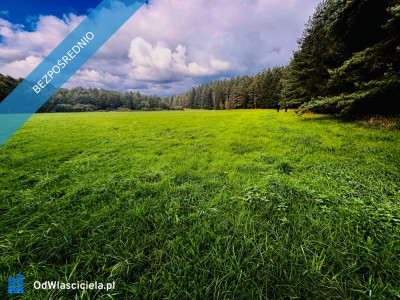 Wyjątkowa działka 242 ha wśród zieleni Cisza prywatność natura - Nitki  -
warmińsko-mazurskie Zdjęcie nr 10