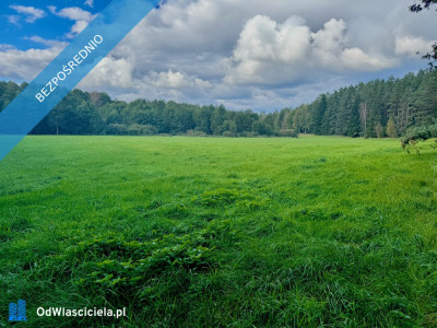 Wyjątkowa działka 242 ha wśród zieleni Cisza prywatność natura - Nitki  -
warmińsko-mazurskie Zdjęcie nr 12