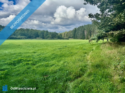 Wyjątkowa działka 242 ha wśród zieleni Cisza prywatność natura - Nitki  -
warmińsko-mazurskie Zdjęcie nr 13