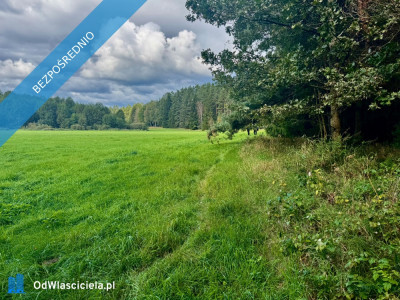 Wyjątkowa działka 242 ha wśród zieleni Cisza prywatność natura - Nitki  -
warmińsko-mazurskie Zdjęcie nr 14