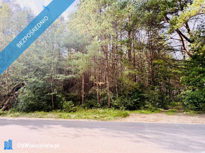 Wyjątkowa działka 242 ha wśród zieleni Cisza prywatność natura - Nitki  -
warmińsko-mazurskie Zdjęcie nr 16