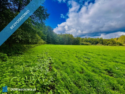 Wyjątkowa działka 242 ha wśród zieleni Cisza prywatność natura - Nitki  -
warmińsko-mazurskie Zdjęcie nr 2