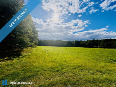 Wyjątkowa działka 242 ha wśród zieleni Cisza prywatność natura - Nitki  -
warmińsko-mazurskie Zdjęcie nr 3