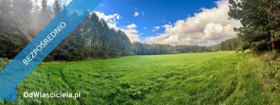 Wyjątkowa działka 242 ha wśród zieleni Cisza prywatność natura - Nitki  -
warmińsko-mazurskie Zdjęcie nr 5