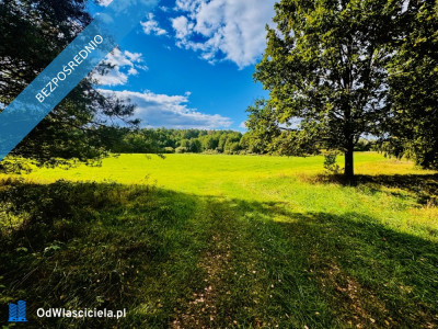 Wyjątkowa działka 242 ha wśród zieleni Cisza prywatność natura - Nitki  -
warmińsko-mazurskie Zdjęcie nr 6
