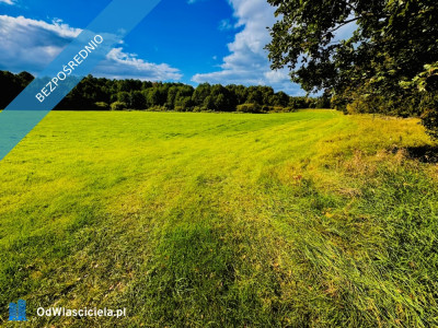 Wyjątkowa działka 242 ha wśród zieleni Cisza prywatność natura - Nitki  -
warmińsko-mazurskie Zdjęcie nr 7