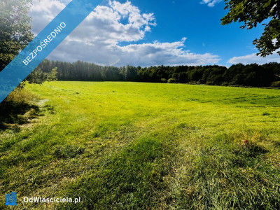 Wyjątkowa działka 242 ha wśród zieleni Cisza prywatność natura - Nitki  -
warmińsko-mazurskie Zdjęcie nr 8