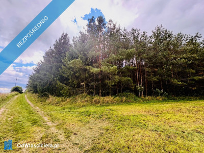 Drygały  piękna działka 14 ha w otoczeniu lasów i natury - Drygały  -
warmińsko-mazurskie Zdjęcie nr 9