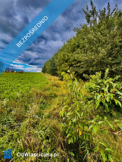 Drygały  piękna działka 14 ha w otoczeniu lasów i natury - Drygały  - warmińsko-mazurskie