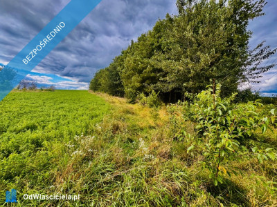 Drygały  piękna działka 14 ha w otoczeniu lasów i natury - Drygały  -
warmińsko-mazurskie Zdjęcie nr 2