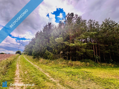 Drygały  piękna działka 14 ha w otoczeniu lasów i natury - Drygały  -
warmińsko-mazurskie Zdjęcie nr 5