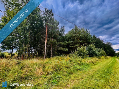Drygały  piękna działka 14 ha w otoczeniu lasów i natury - Drygały  -
warmińsko-mazurskie Zdjęcie nr 6