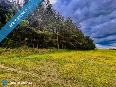 Drygały  piękna działka 14 ha w otoczeniu lasów i natury - Drygały  -
warmińsko-mazurskie Zdjęcie nr 7