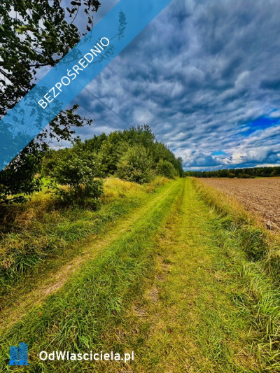 Drygały  piękna działka 14 ha w otoczeniu lasów i natury - Drygały  -
warmińsko-mazurskie Zdjęcie nr 8