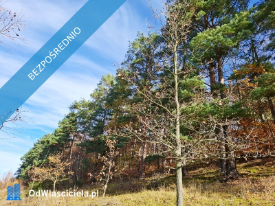 sprzedam dużą działkę rolną w Karkonoszachnieopodal Karpacza - Głębock  - dolnośląskie