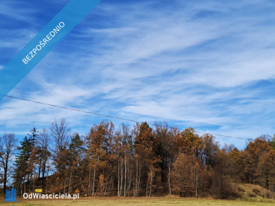 sprzedam dużą działkę rolną w Karkonoszachnieopodal Karpacza - Głębock  -
dolnośląskie Zdjęcie nr 5