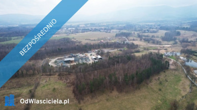 sprzedam dużą działkę rolną w Karkonoszachnieopodal Karpacza - Głębock  -
dolnośląskie Zdjęcie nr 7
