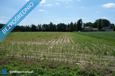 Skoczów Ochaby 32ha z częścią budowlaną i pod usługi  - Bielsko-Biała  - śląskie