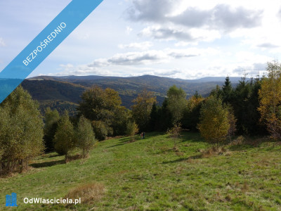 Brenna 253 ha działka inwestycyjna blisko wyciągu piękne widoki - Katowice  - śląskie