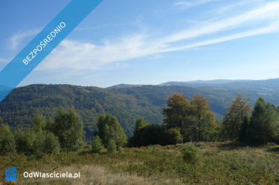 Brenna 253ha inwestycyjna pod pensjonaty domki letniskowe - Brenna  - śląskie