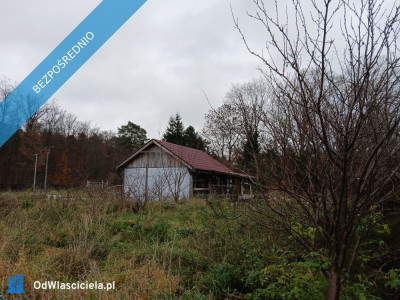 Duża działka budowlana nad morzem w Gdańsku pełne uzbrojenie MPZP   - Sobieszewo  -
pomorskie Zdjęcie nr 10