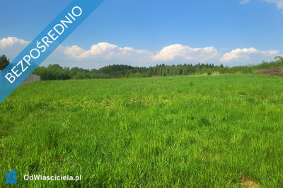 Działka budowlana w centrum Dominikowic wojmałopolskie - Dominikowice  - małopolskie