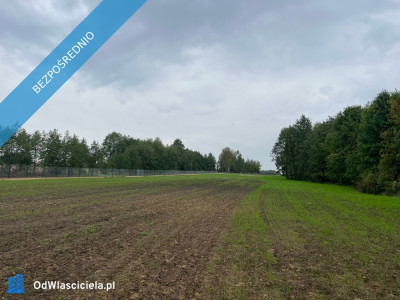 Działka budowlana 1200 m2 nad zalewem Niewiadoma - Niewiadoma  -
mazowieckie Zdjęcie nr 2