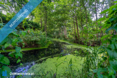 Obniżka ceny 45000 zł Działka z szybkim dojazdem do Międzywodzia - Międzywodzie  -
zachodniopomorskie Zdjęcie nr 8