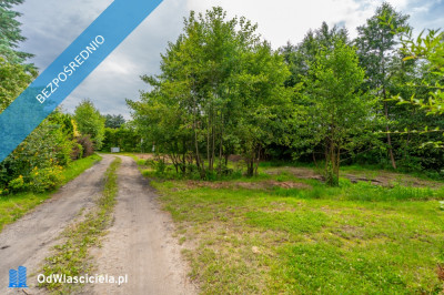 Działka w okolicach Międzywodzia - Międzywodzie  -
zachodniopomorskie Zdjęcie nr 6