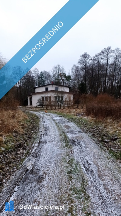 Inspirujący teren w Łodzi 5Ha świetnie skomunikowany - Polesie  -
łódzkie Zdjęcie nr 5