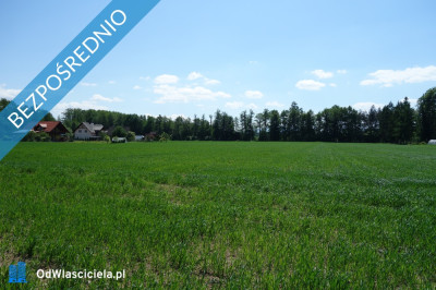 Skoczów Ochaby 32ha budowlany oraz pod usługi nieuciążliwe - Skoczów  - śląskie