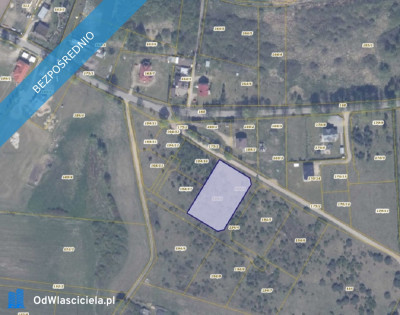 Działka 1943 w miejscowości Ełganowo - Ełganowo  - pomorskie