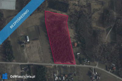 Działki w miejscowości Duży Dół - Duży Dół  -
mazowieckie Zdjęcie nr 3