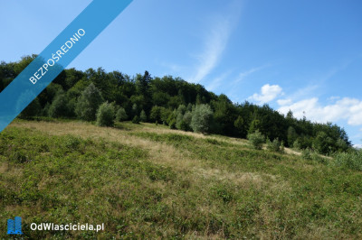 Brenna 253 ha działka inwestycyjna blisko wyciągu - Katowice  -
śląskie Zdjęcie nr 3