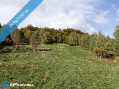 Brenna 253 ha działka inwestycyjna blisko wyciągu - Katowice  -
śląskie Zdjęcie nr 8