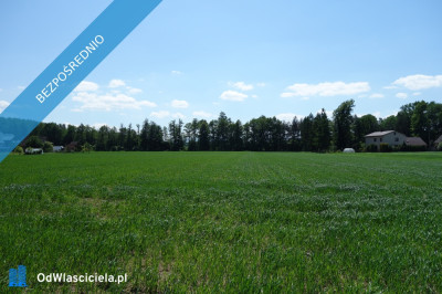 Skoczów Ochaby 32 ha z częścią budowlaną usługową oraz siedliskową - Katowice  - śląskie
