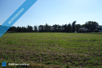 Skoczów Ochaby 157ar z częścią budowlano usługową - Skoczów  -
śląskie Zdjęcie nr 6