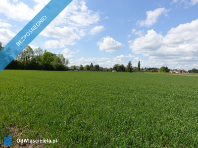 skoczów pruchna 115ha z prawem zabudowy pod stadnine rezydencje - Katowice  -
śląskie Zdjęcie nr 3