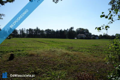 Skoczów Ochaby 157ha z częścią budowlaną i pod usługi nieuciążliwe - Skoczów  -
śląskie Zdjęcie nr 6