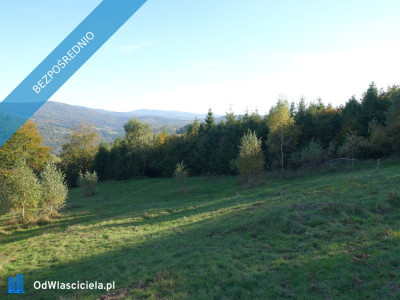 Brenna 253ha inwestycyjna pod pensjonaty domki letniskowe - Brenna  -
śląskie Zdjęcie nr 13