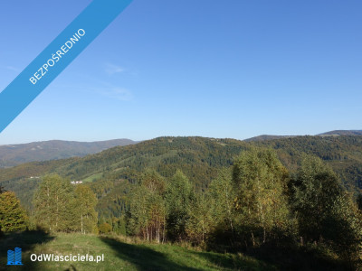 Brenna 253ha inwestycyjna pod pensjonaty domki letniskowe - Brenna  - śląskie