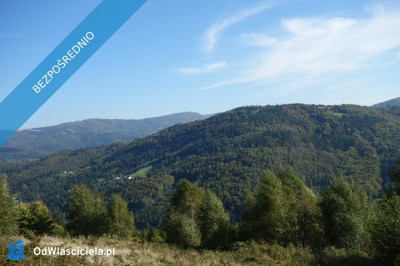 Brenna 253ha inwestycyjna pod pensjonaty domki letniskowe - Brenna  -
śląskie Zdjęcie nr 3