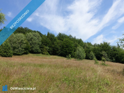 Brenna 253ha inwestycyjna pod pensjonaty domki letniskowe - Brenna  -
śląskie Zdjęcie nr 5